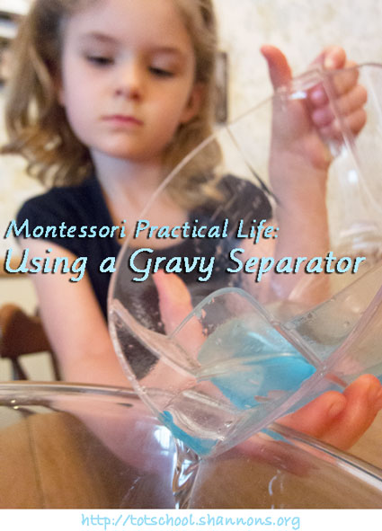 Gravy Separator (and introduction to the density of liquids) via Shannon's Tot School